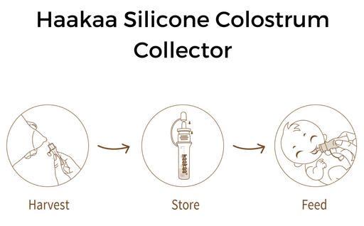 Shop Haakaa Silicone Colostrum Collector Set 4 ml, 6 PK (Pre-Sterilized) at Goodbuygears
