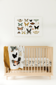 Shop Clementine Kids Butterfly Collector Quilt at Goodbuygears