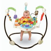 Shop Fisher Price Jumperoo Activity Center, Luv U Zoo at Goodbuygears