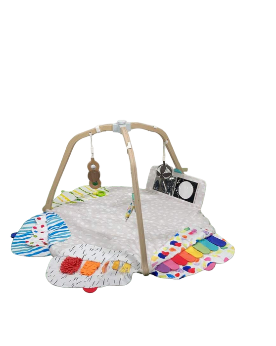 Shop Lovevery The Play Gym at Goodbuygears