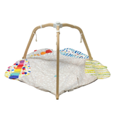 Shop Lovevery The Play Gym at Goodbuygears