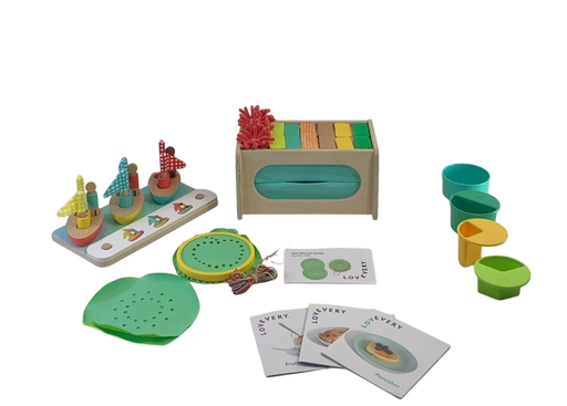 Shop Lovevery The Analyst Play Kit at Goodbuygears