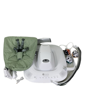 Shop 4moms MamaRoo Multi-Motion Baby Swing, Sage Limited Edition at Goodbuygears