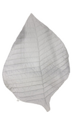 Shop Toddlekind Leaf Mat, Stone at Goodbuygears
