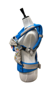 Shop Lillebaby Complete All Seasons Baby Carrier, World Of Warcraft, Blue at Goodbuygears