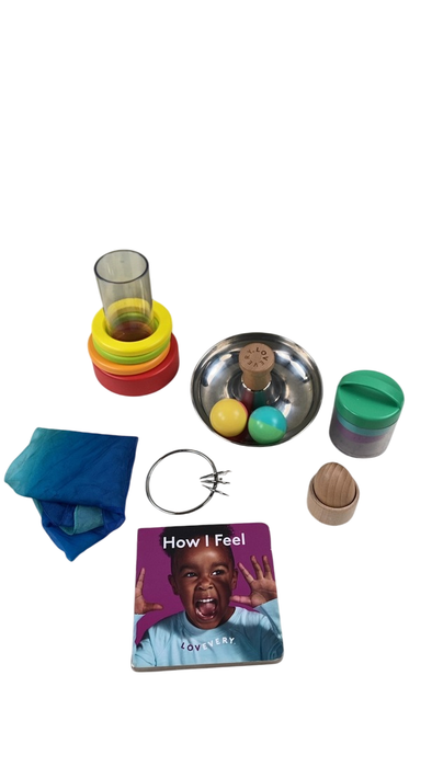 Shop Lovevery The Explorer Play Kit at Goodbuygears