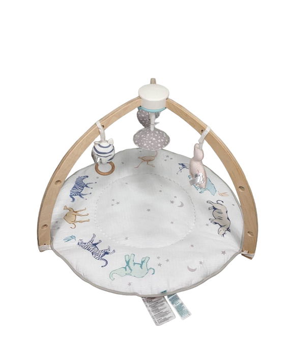 Shop Aden + Anais Play + Discover Baby Activity Gym, Rising Star at Goodbuygears