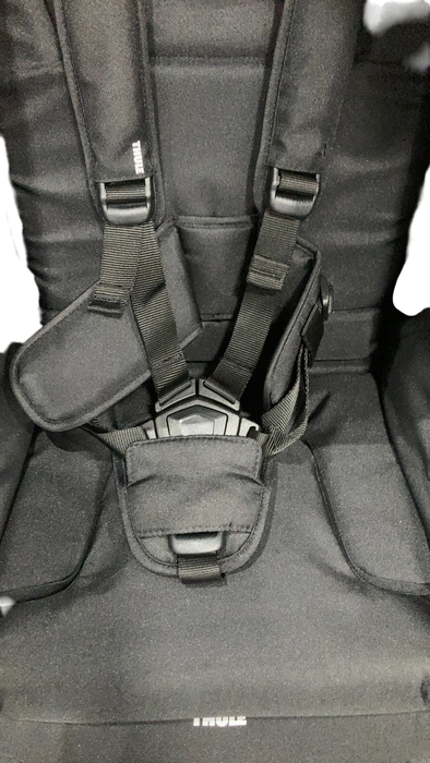 Shop Thule Spring Stroller, 2024, Black, Midnight Black at Goodbuygears