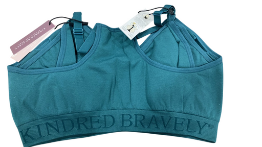 Shop Kindred Bravely Sublime Hands-Free Pumping & Nursing Bra, Regular, Teal, XL at Goodbuygears