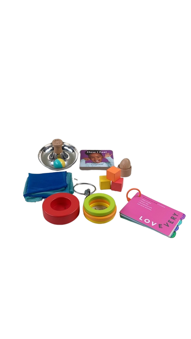 Shop Lovevery The Explorer Play Kit at Goodbuygears