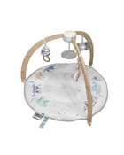 Shop Aden + Anais Play + Discover Baby Activity Gym, Rising Star at Goodbuygears