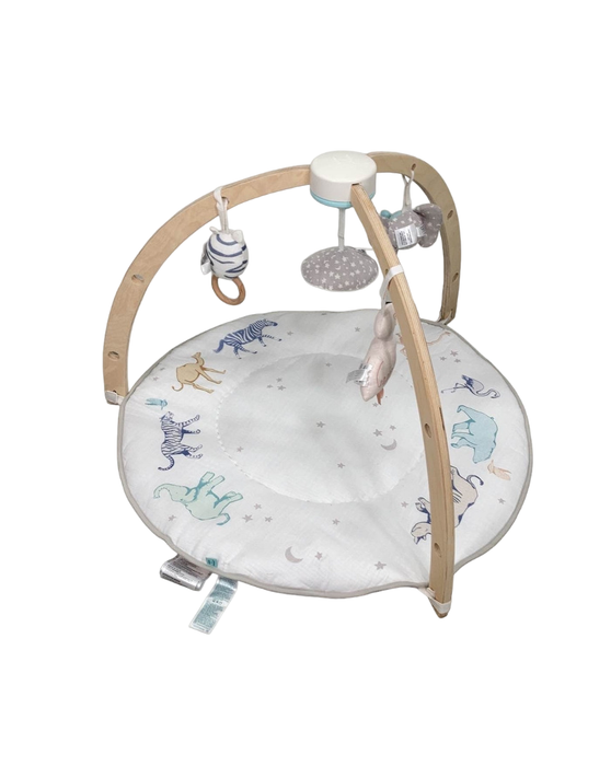 Shop Aden + Anais Play + Discover Baby Activity Gym, Rising Star at Goodbuygears