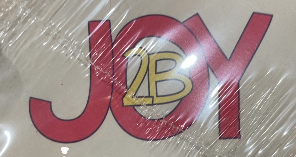 Shop Joy2b Rock Blocks, 36 Pieces at Goodbuygears