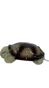 Shop cloudb Twilight Turtle Plush Night Light Projector at Goodbuygears