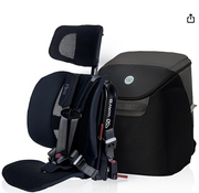 Shop WAYB Pico Portable Car Seat Bundle, 2023, Jet, with Carry Bag at Goodbuygears