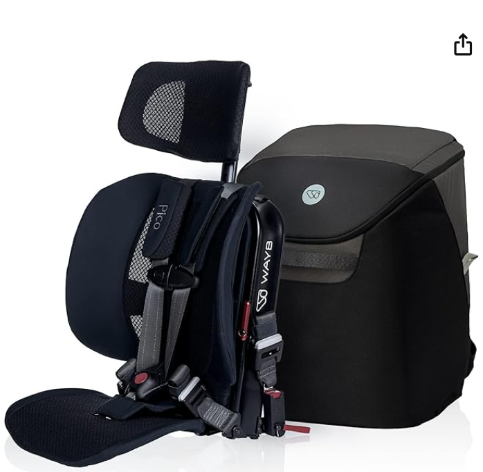 Shop WAYB Pico Portable Car Seat Bundle, 2023, Jet, with Carry Bag at Goodbuygears