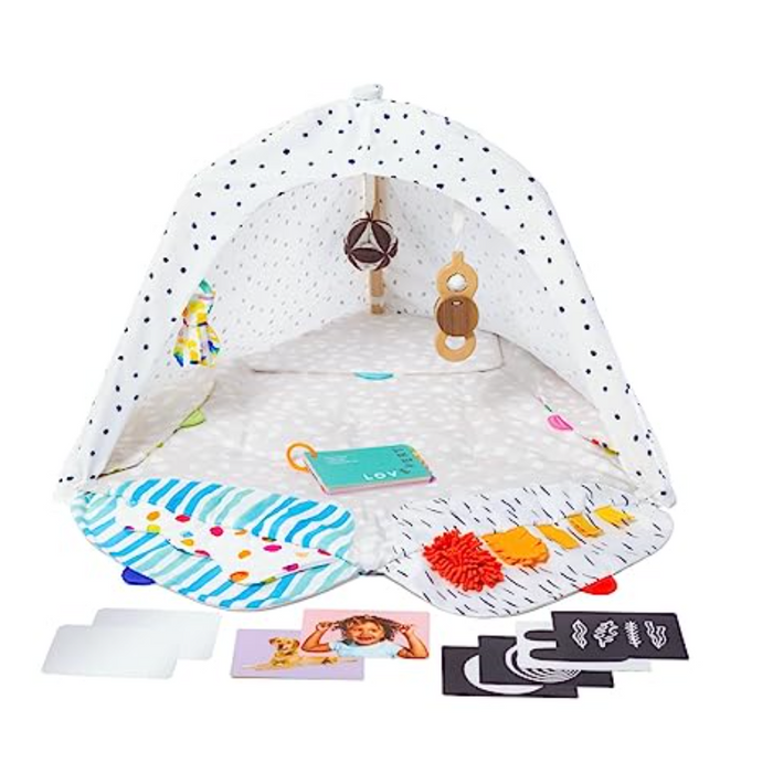 Shop Lovevery The Play Gym at Goodbuygears