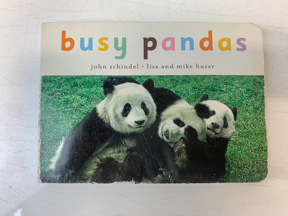 secondhand BUNDLE Board Books
