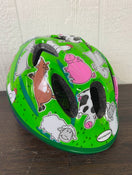 secondhand Schwinn Infant Helmet