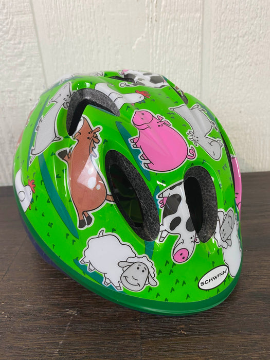 secondhand Schwinn Infant Helmet