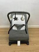 used Baby Delight Go With Me Alpine Deluxe Portable Bouncer