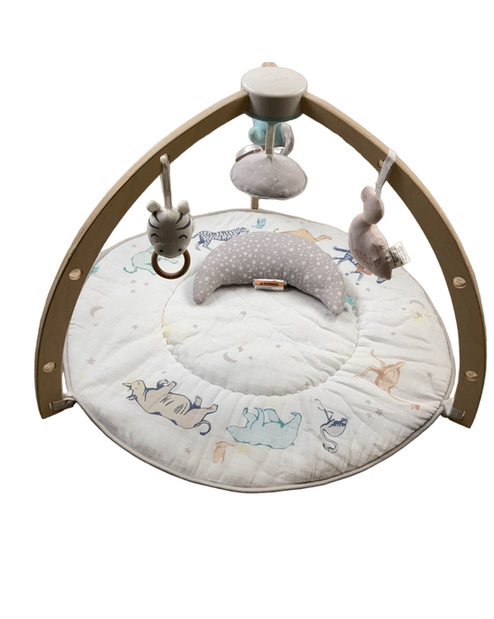Shop Aden + Anais Play + Discover Baby Activity Gym, Rising Star at Goodbuygears