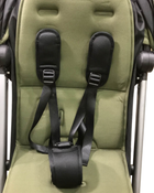 Shop Colugo Compact Stroller, 2023, Olive at Goodbuygears