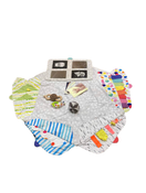 Shop Lovevery The Play Gym at Goodbuygears