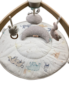 Shop Aden + Anais Play + Discover Baby Activity Gym, Rising Star at Goodbuygears