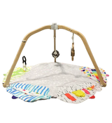 Shop Lovevery The Play Gym at Goodbuygears