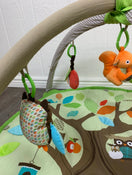 used Gyms Playmats