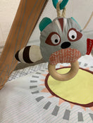 Skip Hop Camping Cubs Activity Gym
