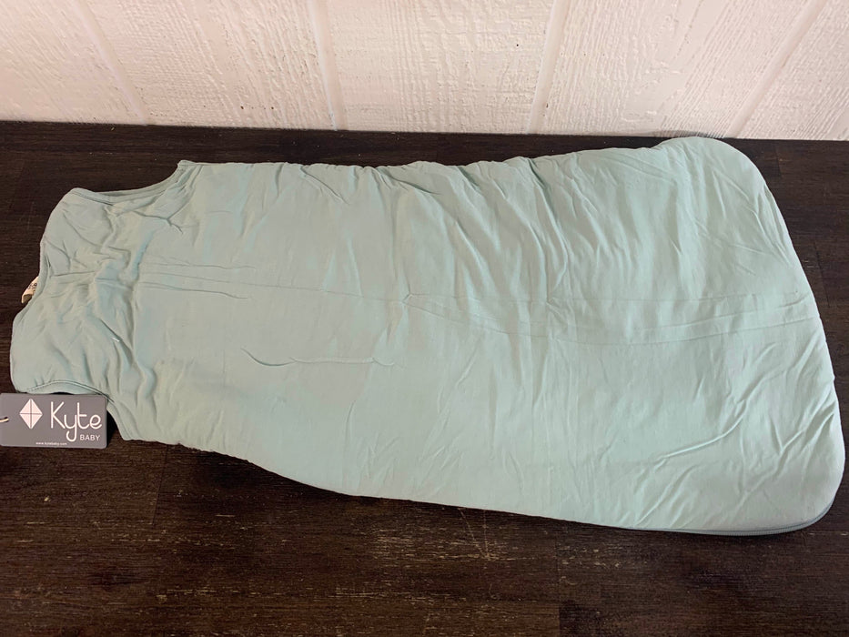 Shop Kyte Baby Sleep Bag, Small( 14-20 pounds), Sage at Goodbuygears