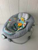 secondhand Taggies Soft N Snug Bouncer