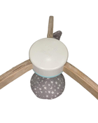 Shop Aden + Anais Play + Discover Baby Activity Gym, Rising Star at Goodbuygears