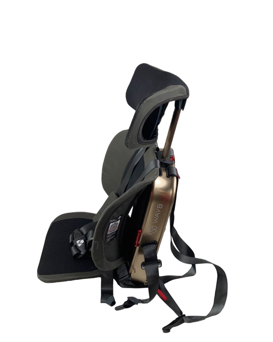 Shop WAYB Pico Portable Car Seat, 2020, Earth at Goodbuygears