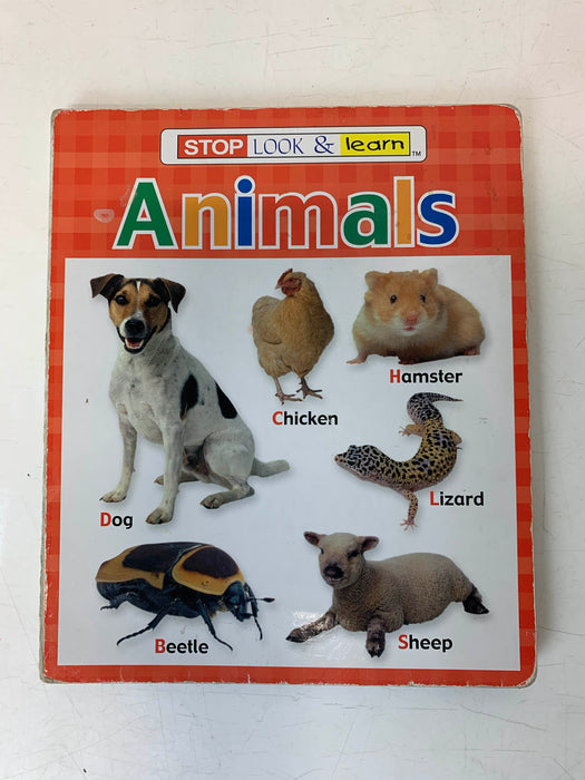 BUNDLE Board Books