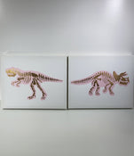used Dinosaur Canvas Wall Art, Set Of 2