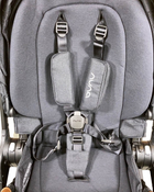 secondhand Strollers