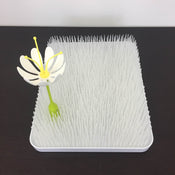 used Feeding