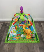 Shop Fisher Price Rainforest Melodies and Lights Deluxe Gym at Goodbuygears