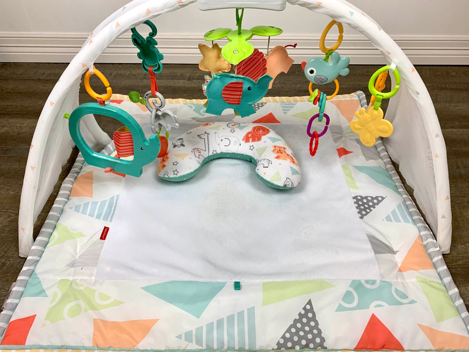 used Fisher Price Safari Dreams Deluxe Comfort Gym