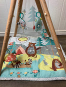 Shop Skip Hop Camping Cubs Activity Gym at Goodbuygears