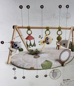 Shop Tiny Love Boho Chic Luxe Developmental Gymini at Goodbuygears