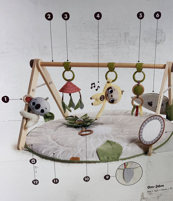 Shop Tiny Love Boho Chic Luxe Developmental Gymini at Goodbuygears