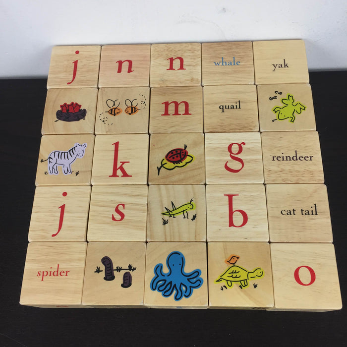 secondhand Pottery Barn Kids Alphabet Blocks