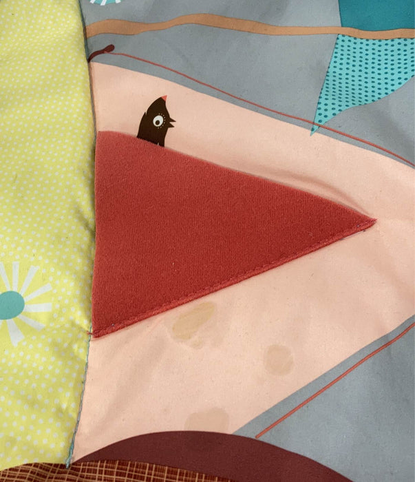 used Gyms Playmats