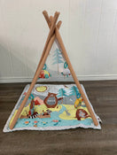 secondhand Skip Hop Camping Cubs Activity Gym