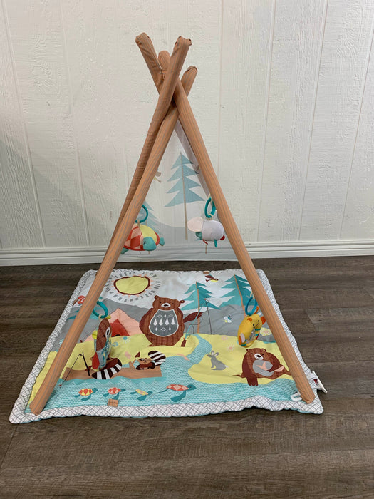 secondhand Skip Hop Camping Cubs Activity Gym