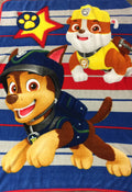 used Paw Patrol Fuzzy Blanket